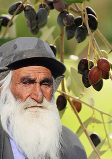 Olivolja Flasketikett